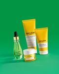 SOIN FLUIDE ARGILE BLANCHE ET ROMARIN OFFICINAL